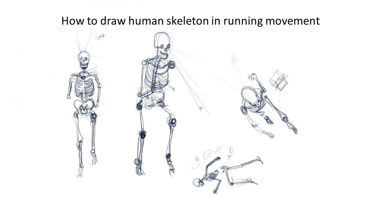 How to draw human skeleton in running movement skeleton drawing part   #onlinelearningbox