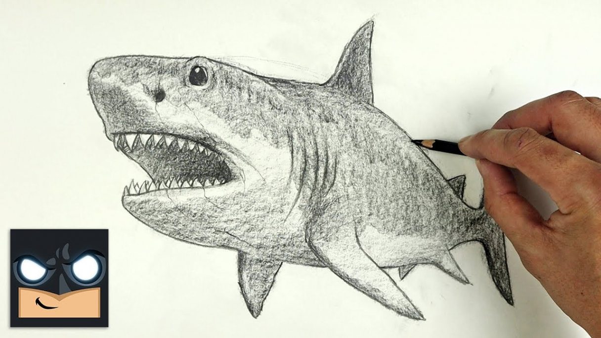 How To Draw Megalodon Shark  YouTube Studio Sketch Tutorial