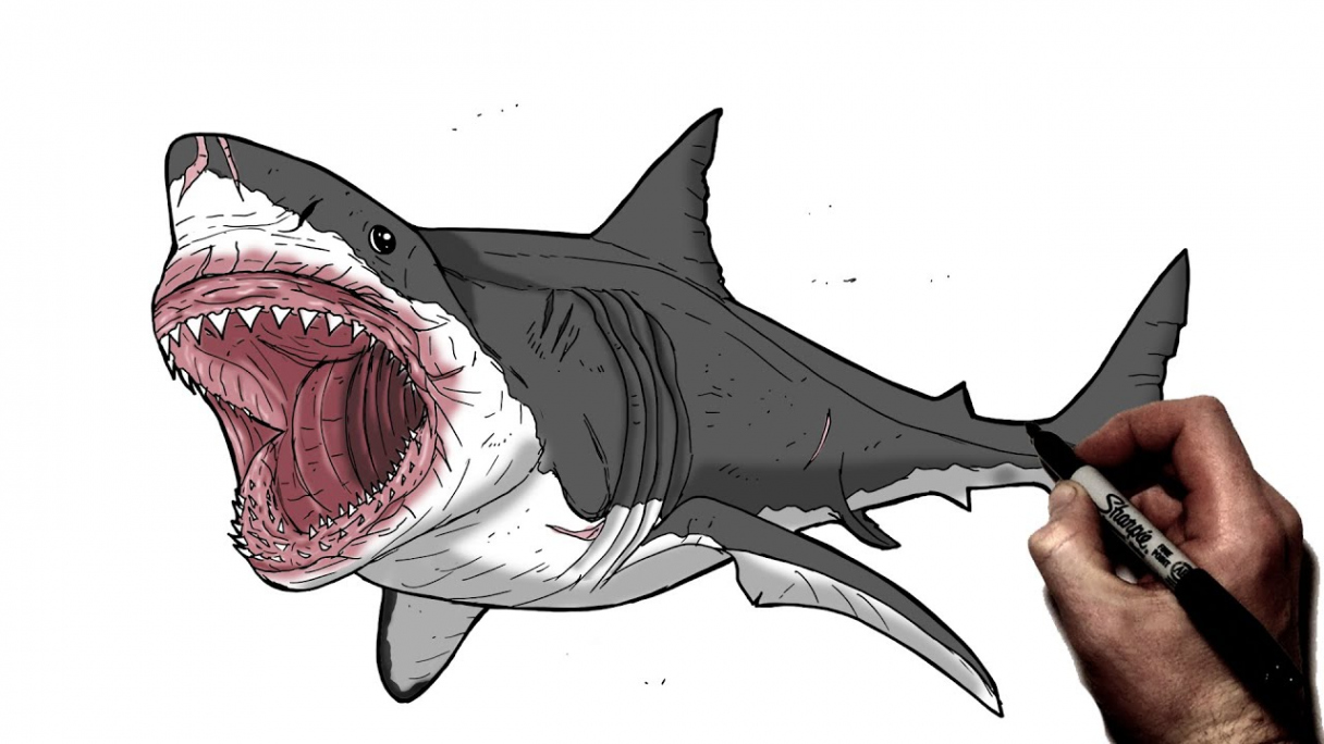 How To Draw Megalodon  Step By Step  Jurassic World