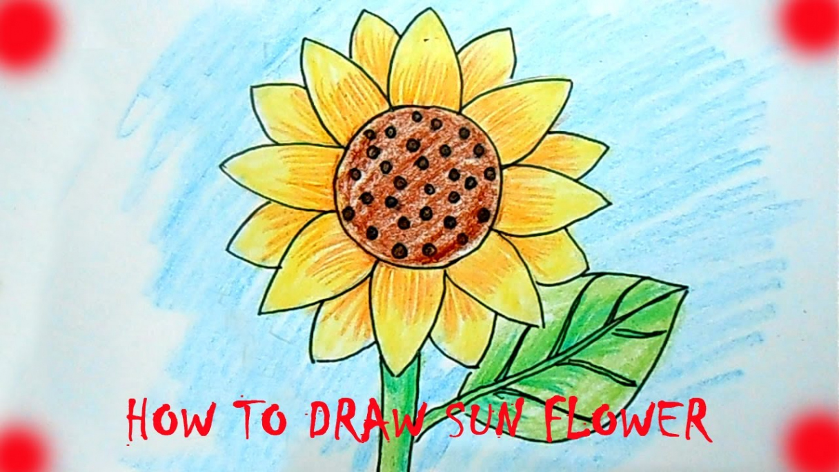 HOW TO DRAW SUN FLOWER