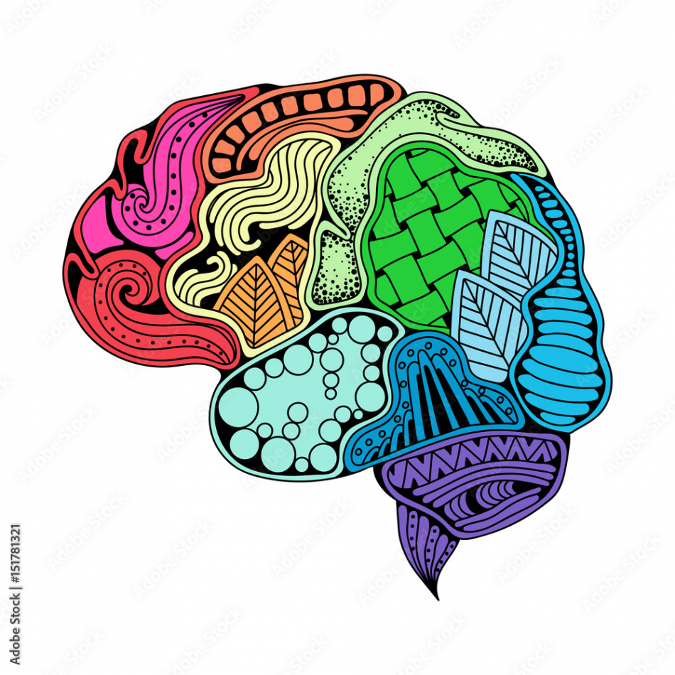 Human brain doodle decorative curves, creative mind, learning and