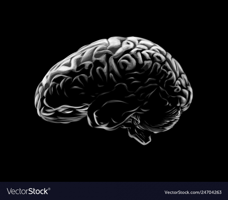 Human brain on a black background hand drawn Vector Image