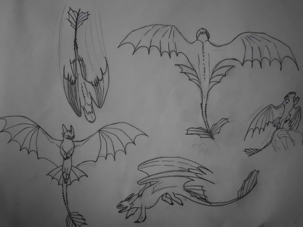 Images For > Toothless Night Fury Drawing  Dragon sketch