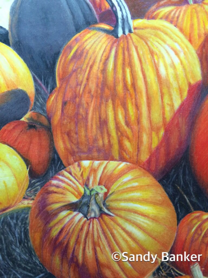 McDonald!s Pumpkin Patch. Prismacolor on Bristol. x