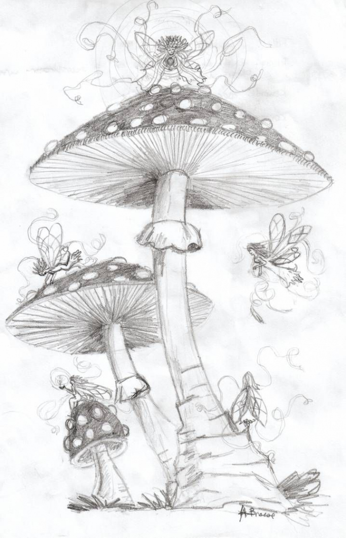 Mushroom Faeries by Dragon-of-the-Arts on DeviantArt  Dibujos