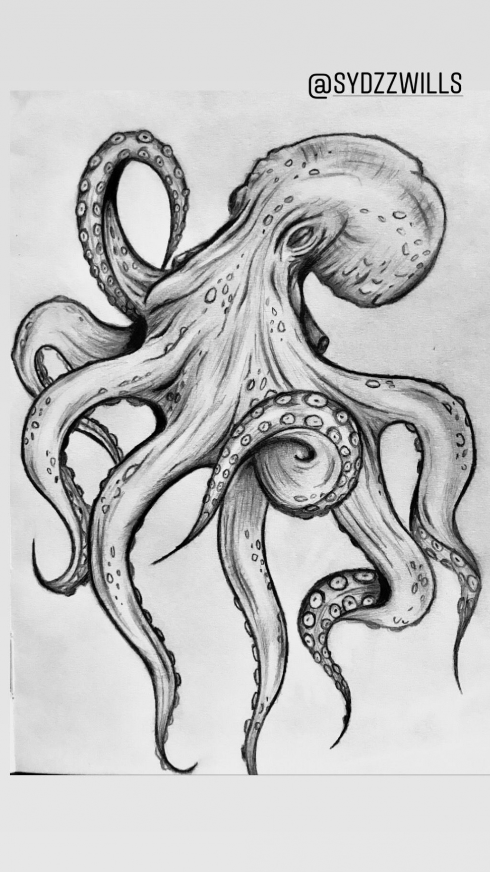 Octopus doodle  Octopus art drawing, Octopus drawing, Octopus sketch