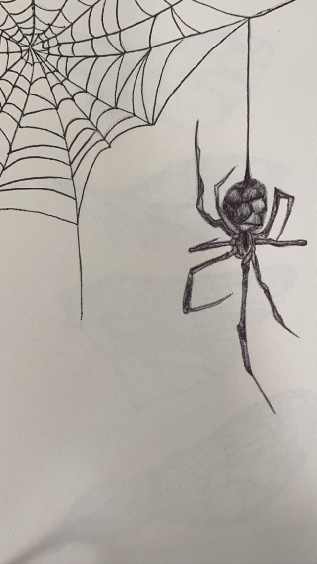 Pin by G van Helden on School-ideeën  Spiderman art sketch