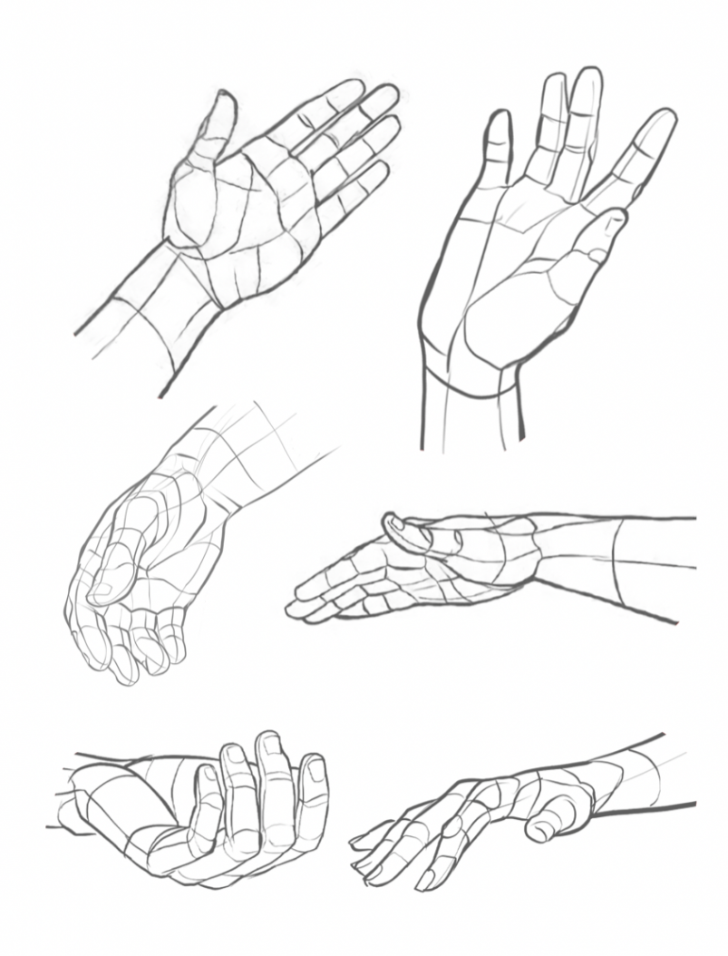 Pose Reference — A few art references for drawing hands