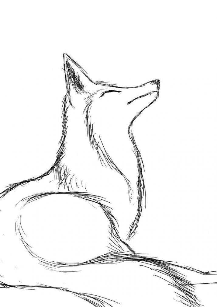 Practicing: Fox sketch by FireRai on deviantART  Fox sketch, Fox