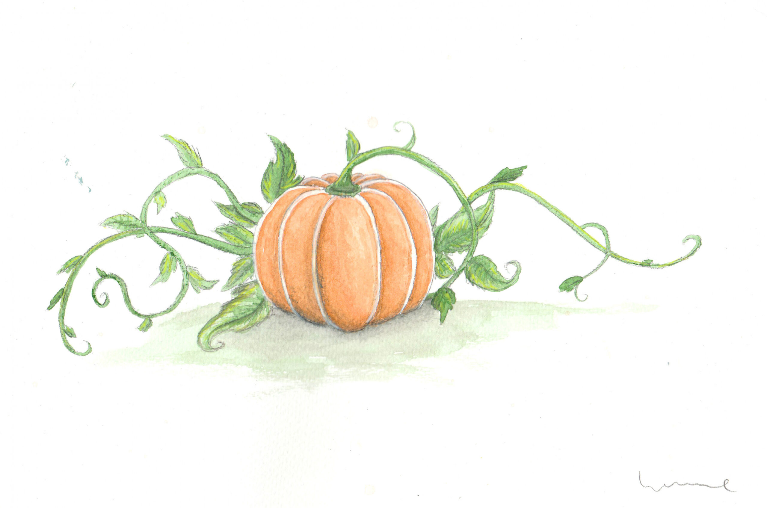 Pumpkin With Vines by Louisetheanimator on DeviantArt