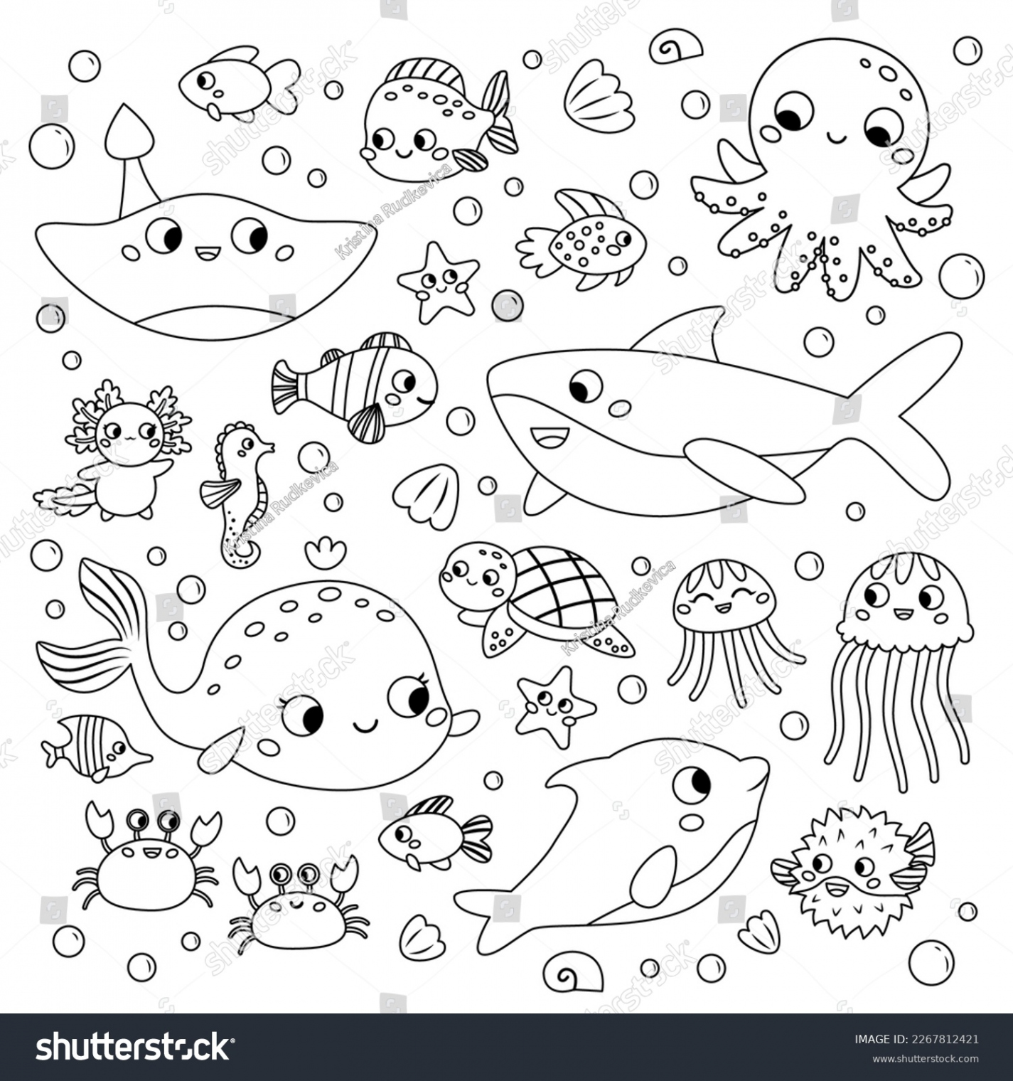 , Sea Animals Outline Drawing Images, Stock Photos, D