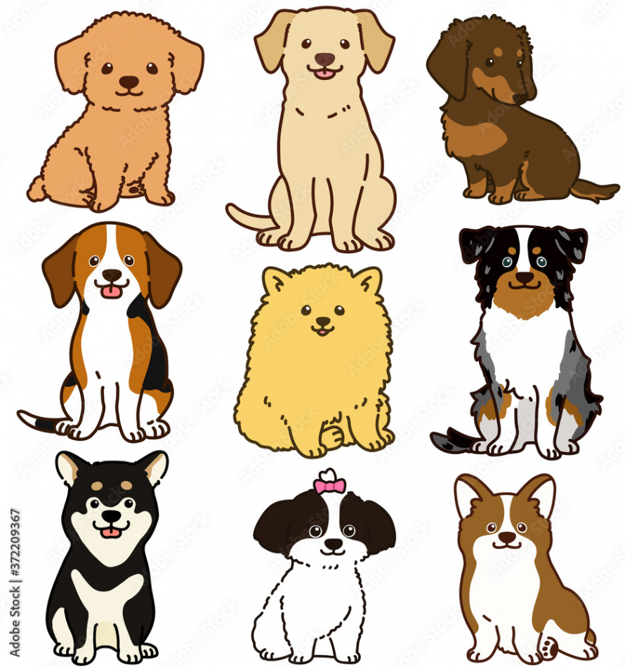 Set of outlined cute and simple dog sitting in front view Stock