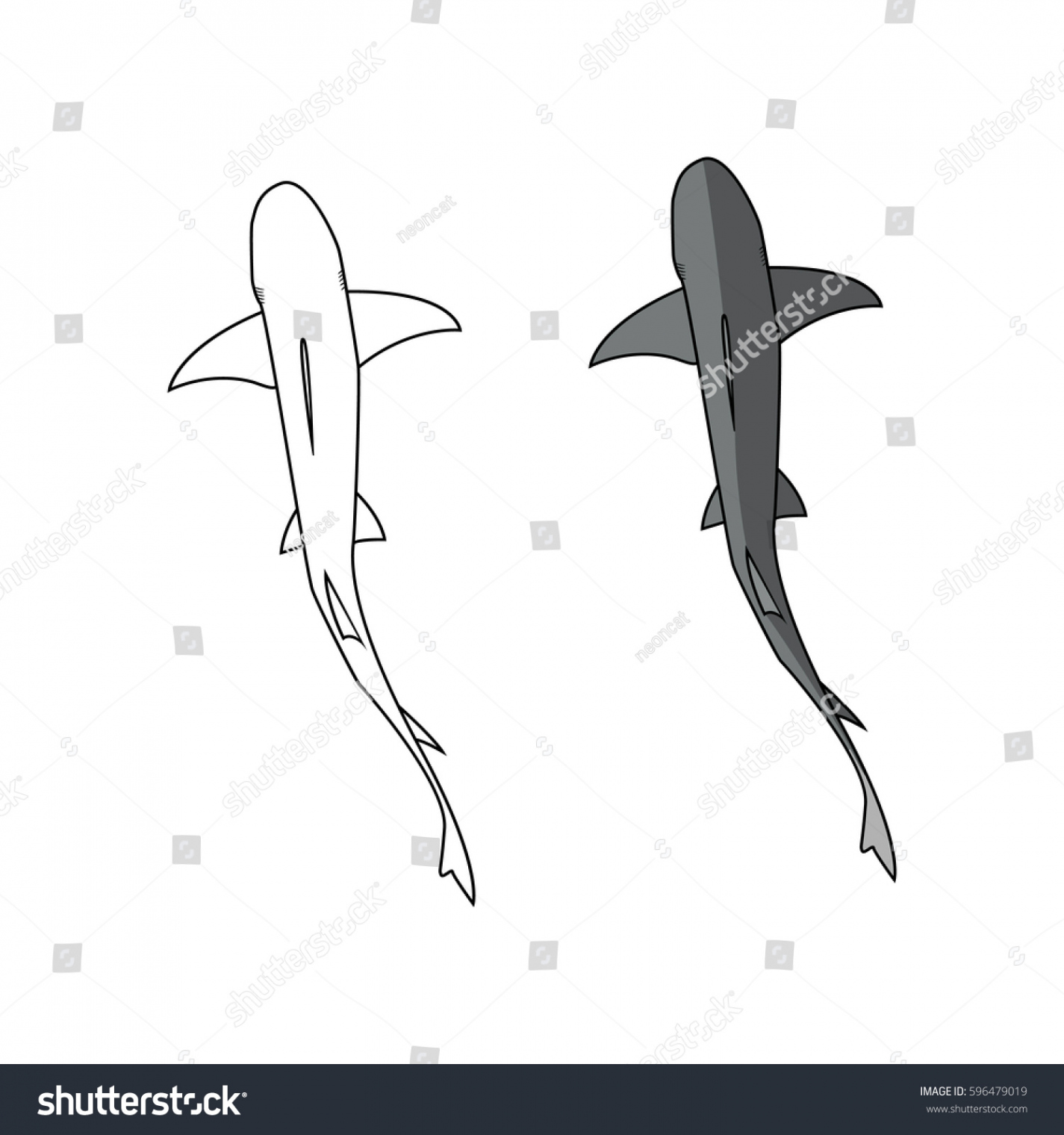 Shark Top View Vector Illustration: Stock-Vektorgrafik (Lizenzfrei