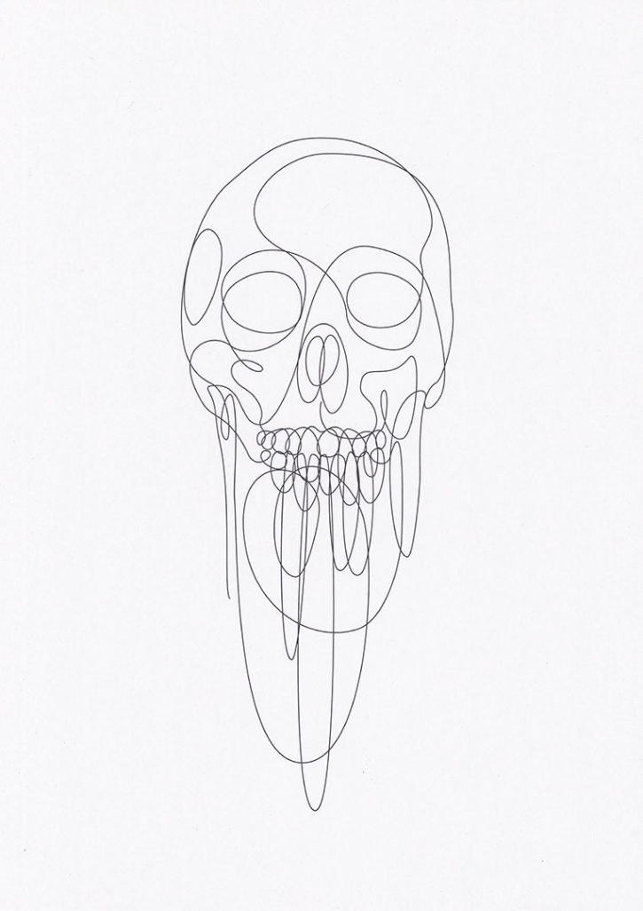 Skull drawing, Line art drawings, Line art