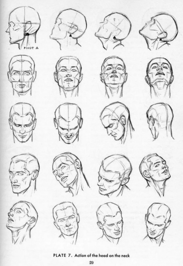 Some drawing references! Mostly human  Drawing the human head