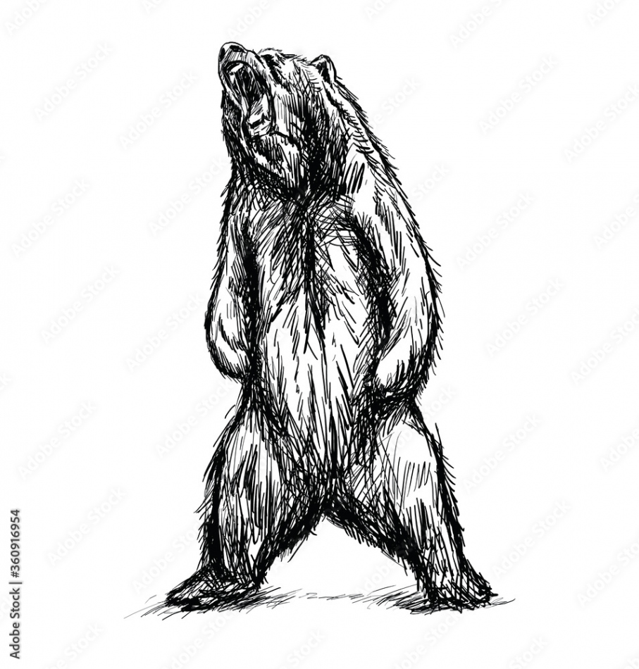 the bear standing scary hand drawing art designed Stock