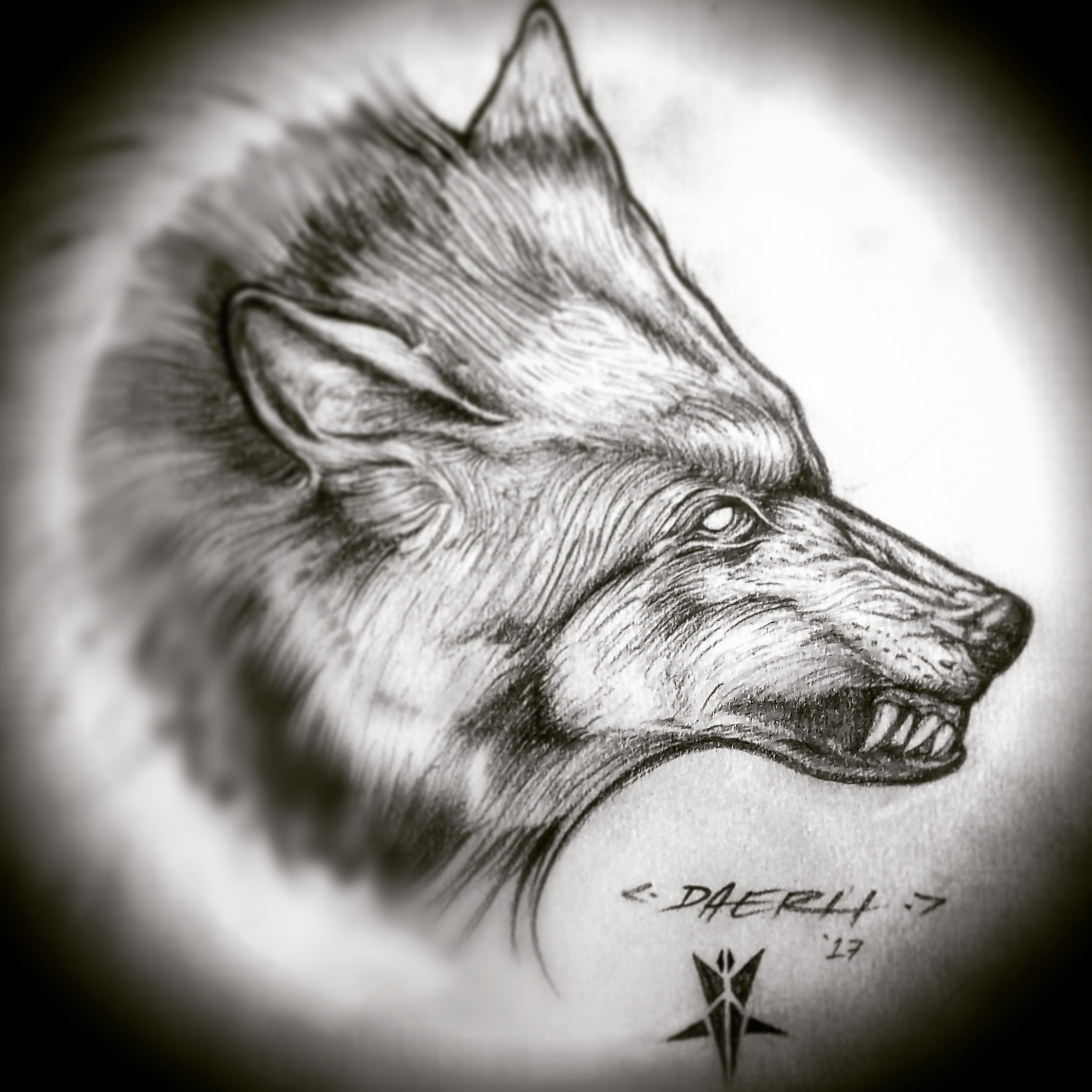 The Vicious Wolf by DaerH on DeviantArt