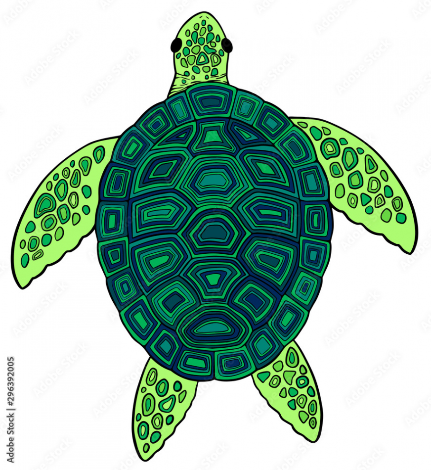 Vector illustration cute sea turtle