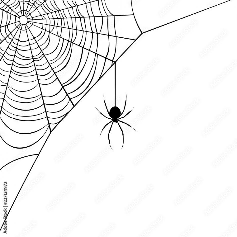 Vector illustration of a corner web/spider design