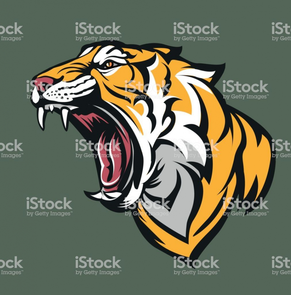 Vector illustration Tiger fierce with open mouth  Tiger art