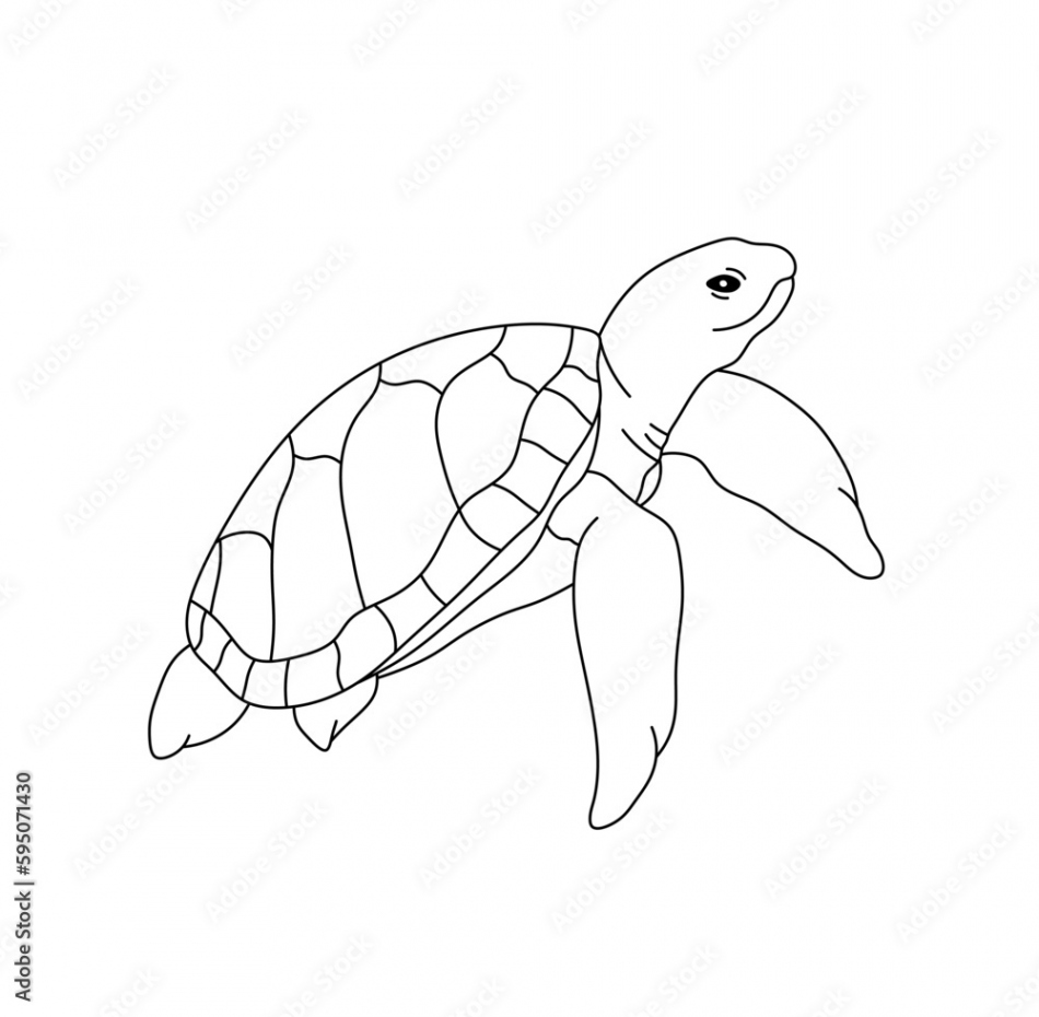 Vector isolated one single swimming sea turtle underwater