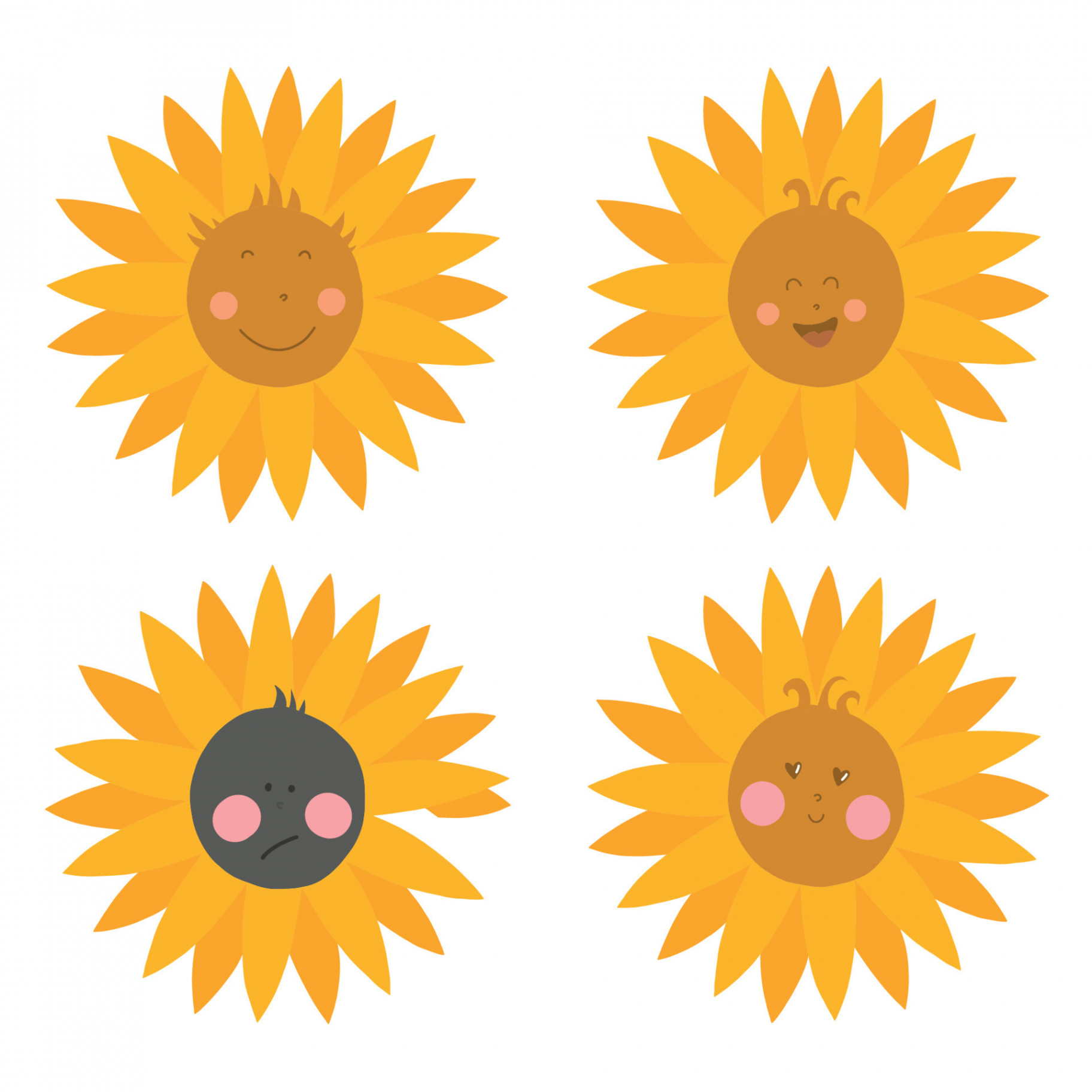 Vector set of illustrations -  drawings of a sunflower with