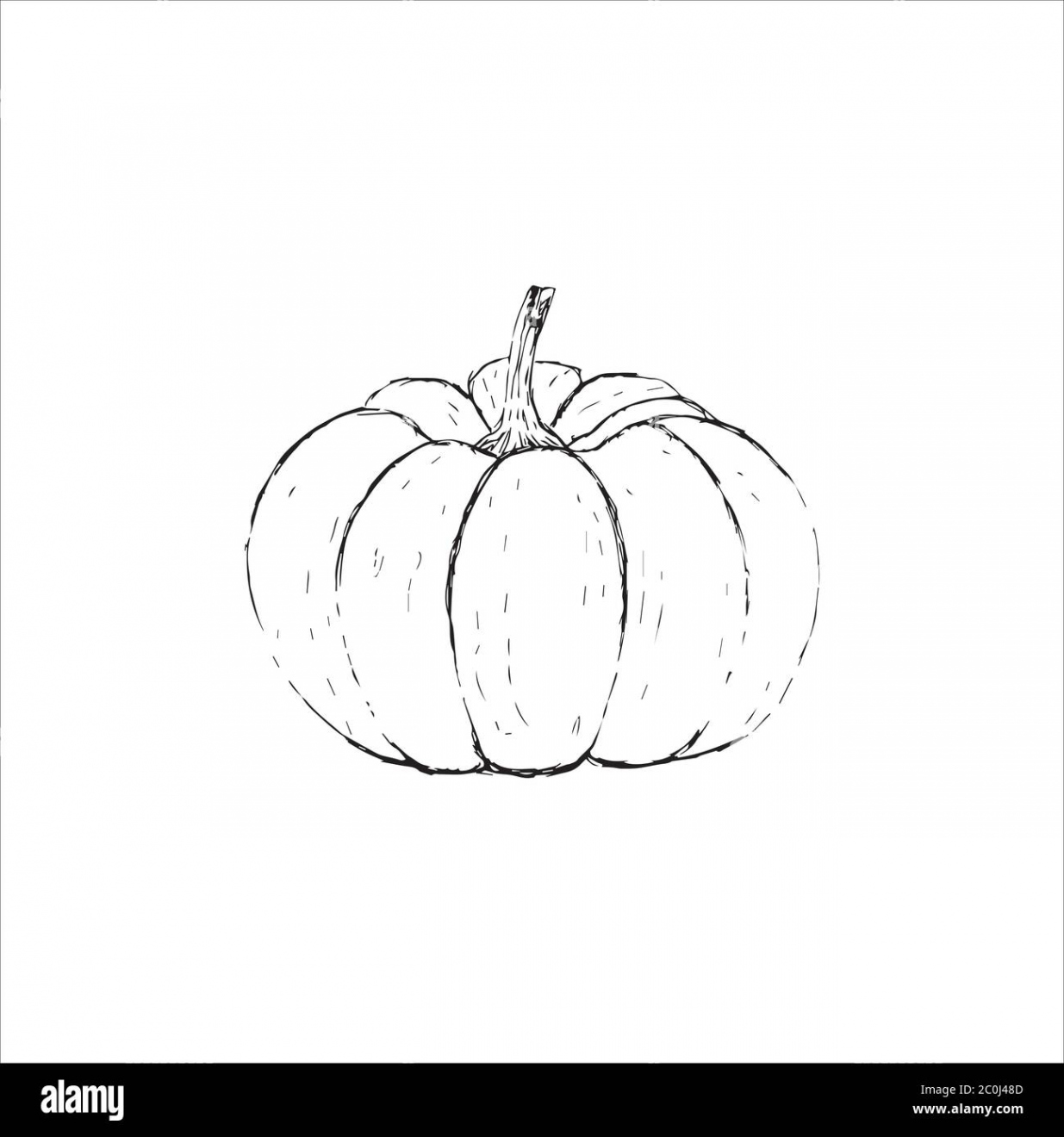 Vector Single Sketch Of A Pumpkin. Pumpkins-doodles