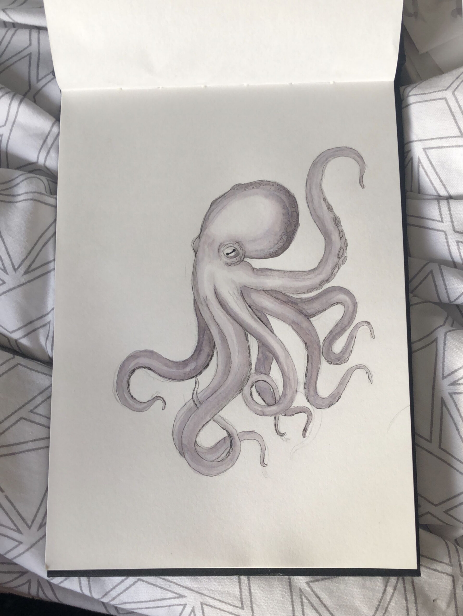 Watercolour Octopus  Octopus drawing, Octopus sketch, Sketch book