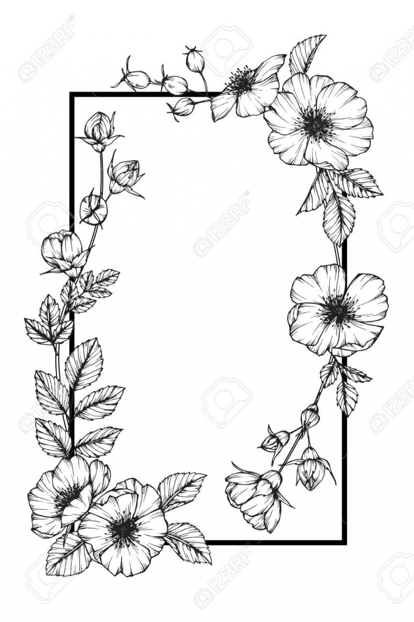 Wild rose flower frame drawing