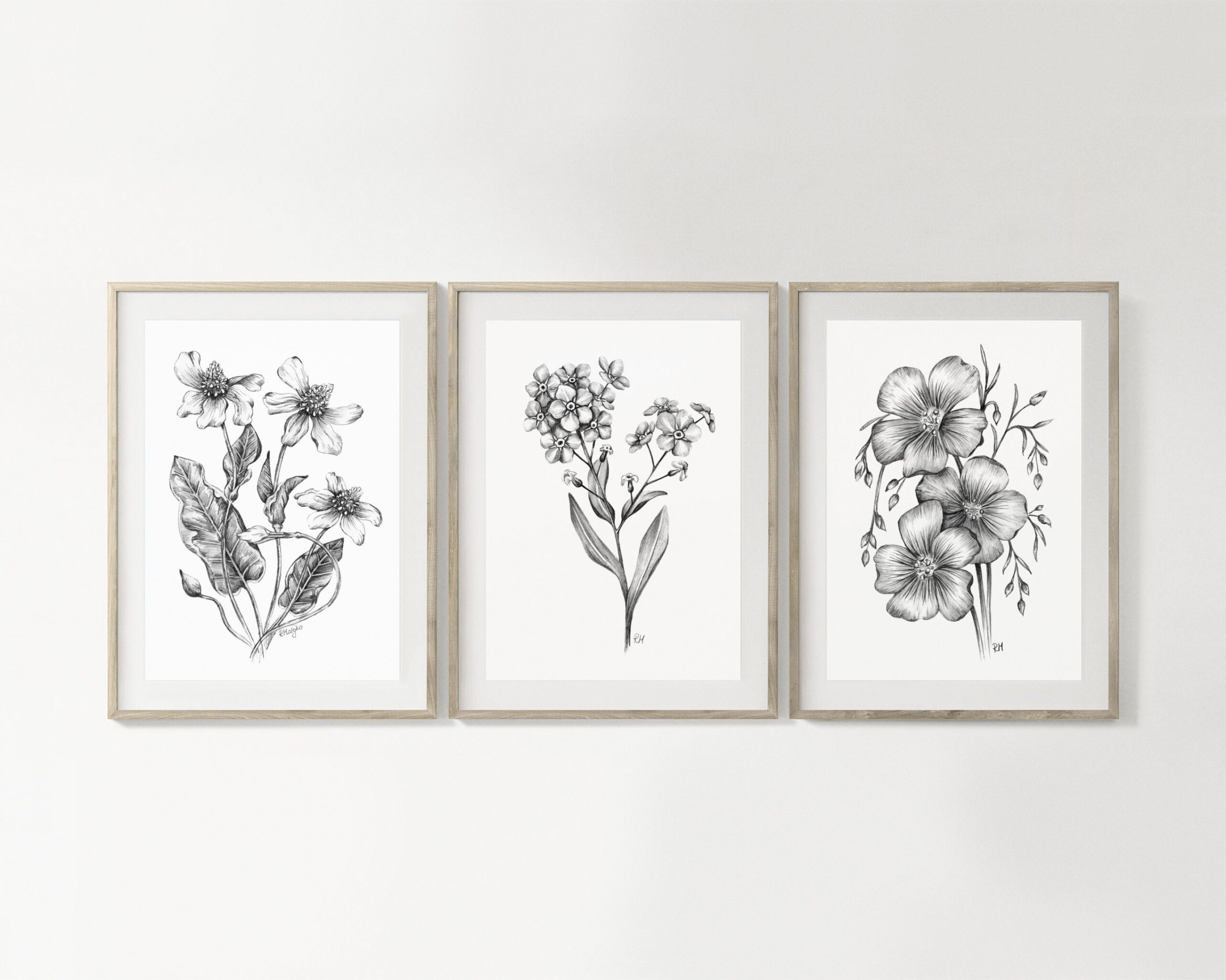 Wildflowers Art PRINT Set of , Flower Pencil Drawing Wall Art