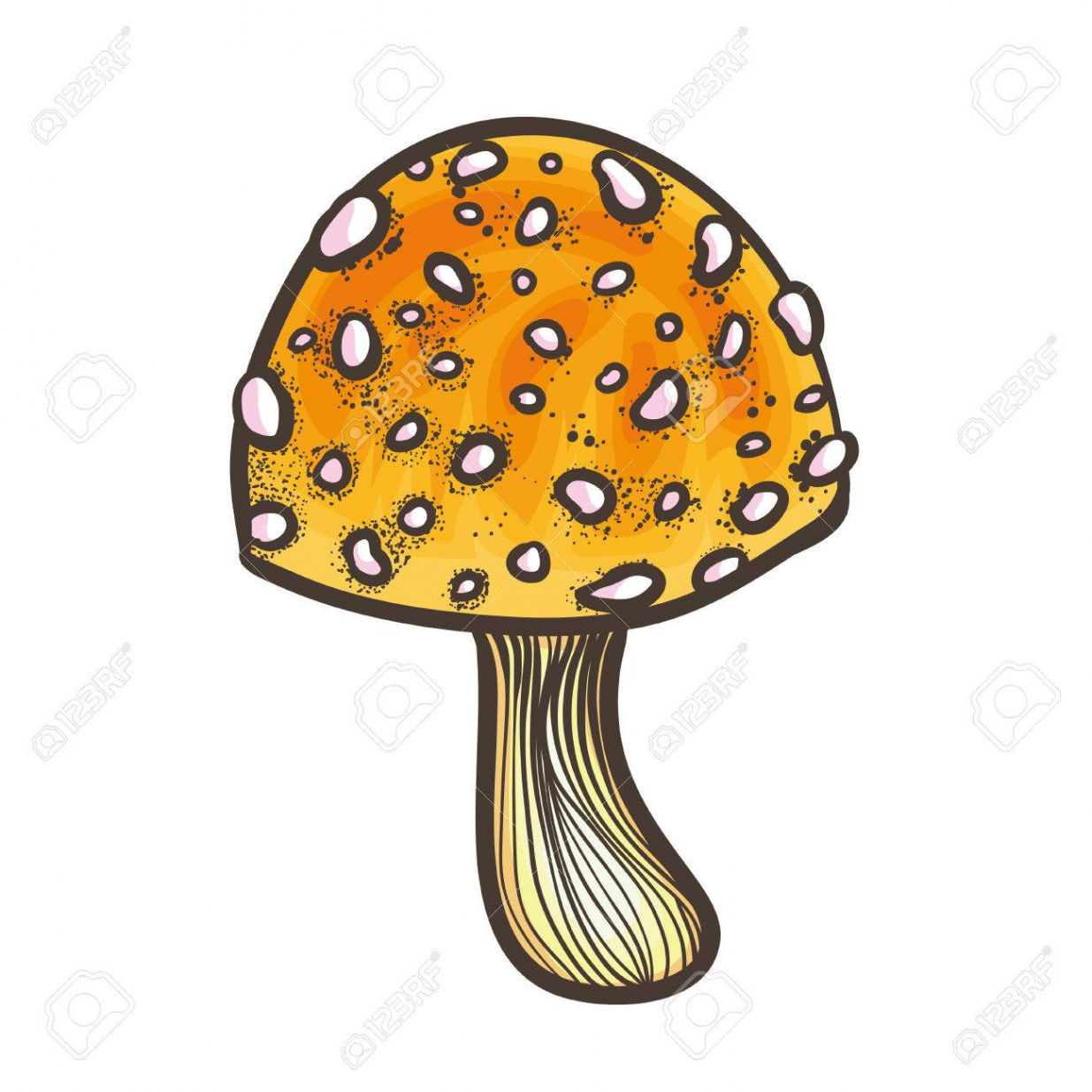 Wonderful Yellow Poison Mushroom