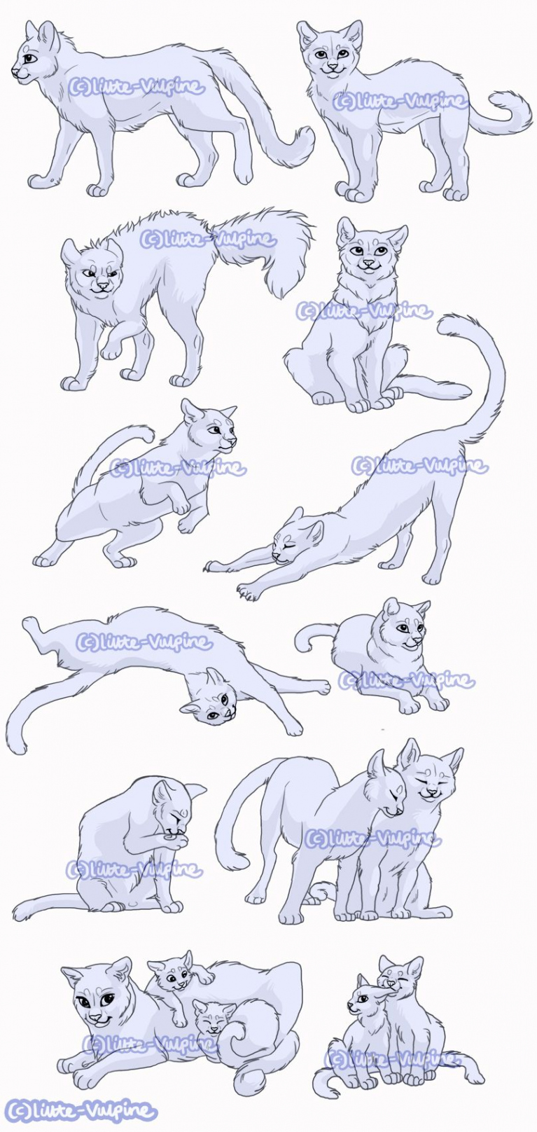 x Cat pose pack by LittleVulpine on DeviantArt  Warrior cat