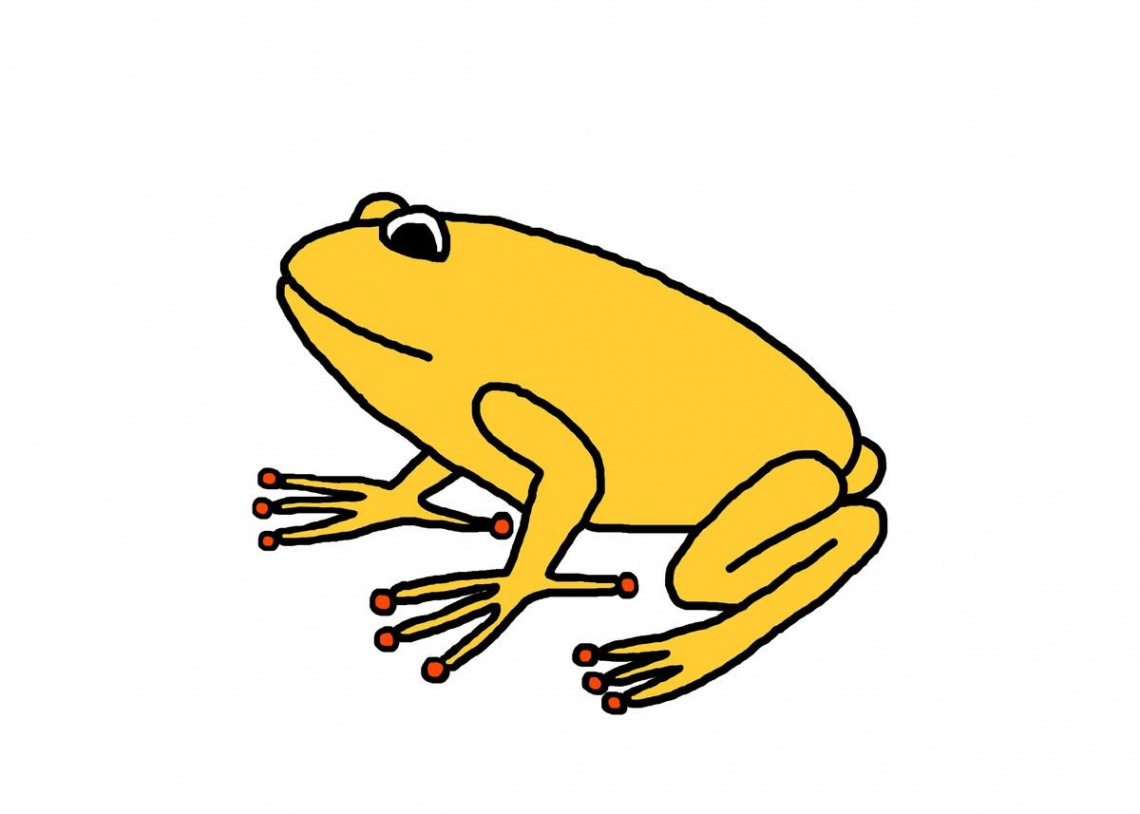 Yellow Frog