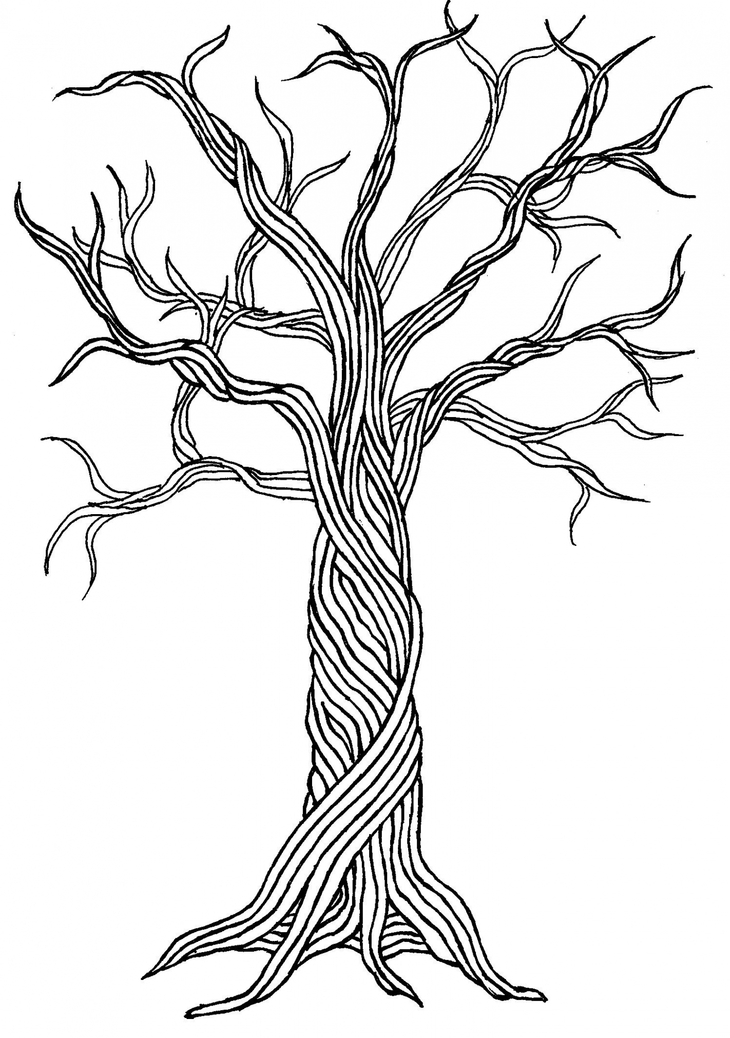 Zendoodle Tree   Zentangle art, Tangle art, Nature art drawings