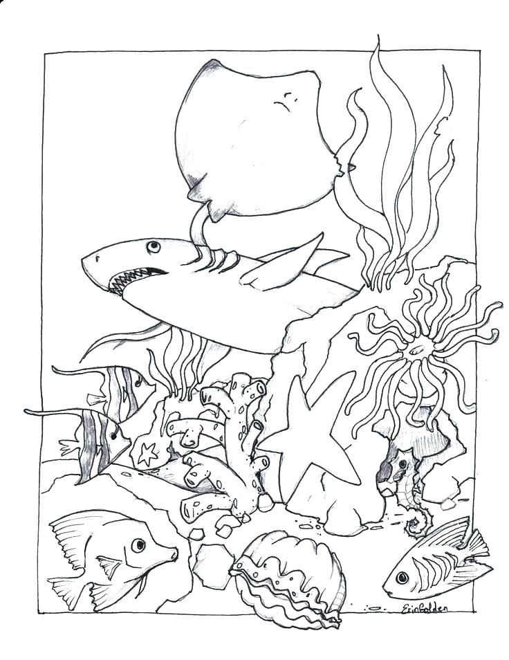 90 Printable Aquarium Visit Coloring Pages 1