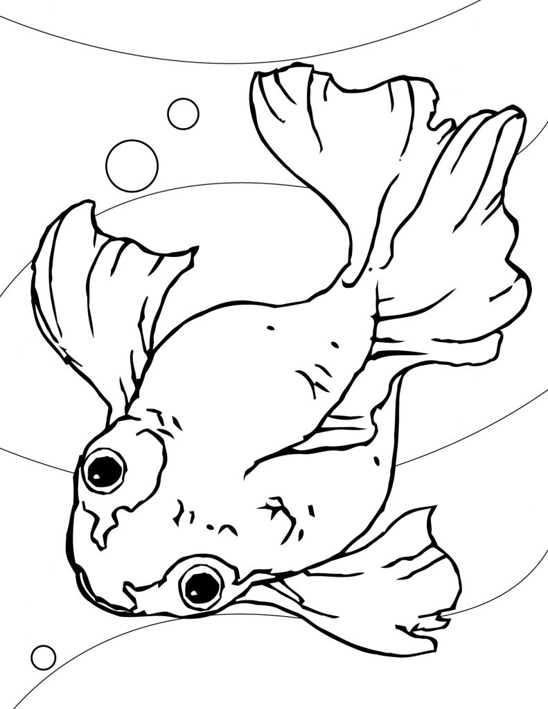 90 Printable Aquarium Visit Coloring Pages 11