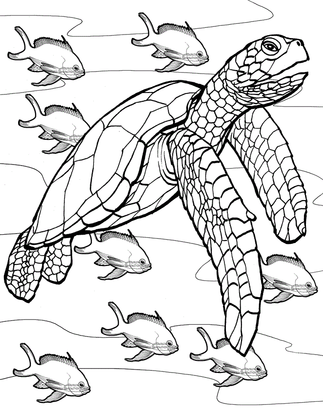 90 Printable Aquarium Visit Coloring Pages 12