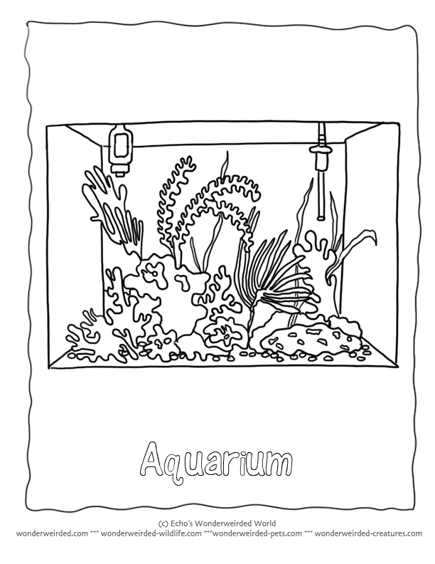 90 Printable Aquarium Visit Coloring Pages 14