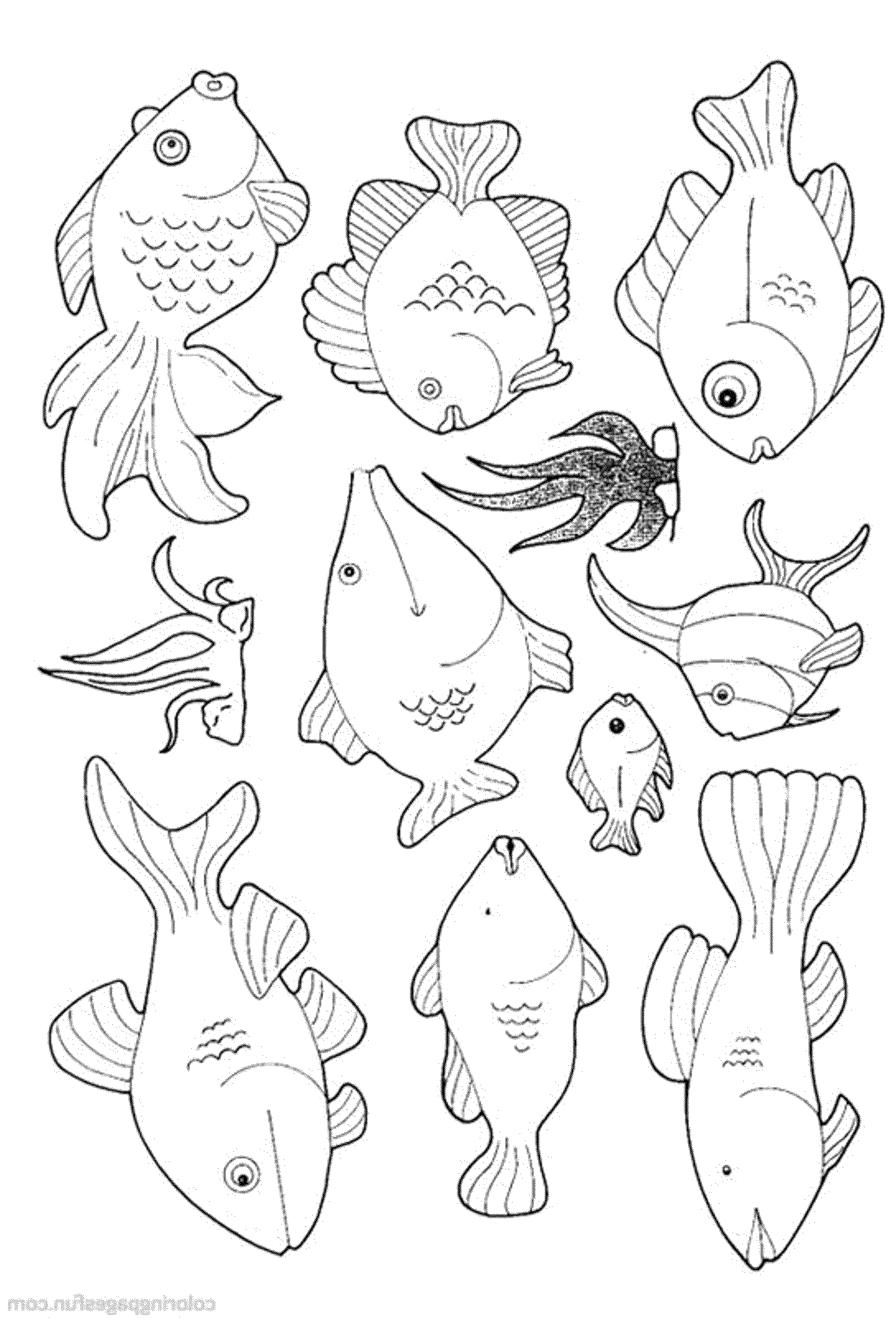 90 Printable Aquarium Visit Coloring Pages 16