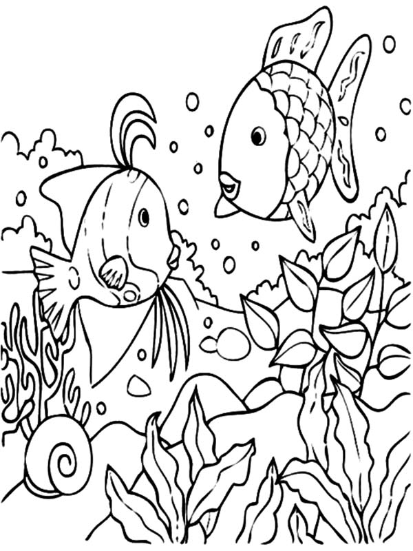 90 Printable Aquarium Visit Coloring Pages 2