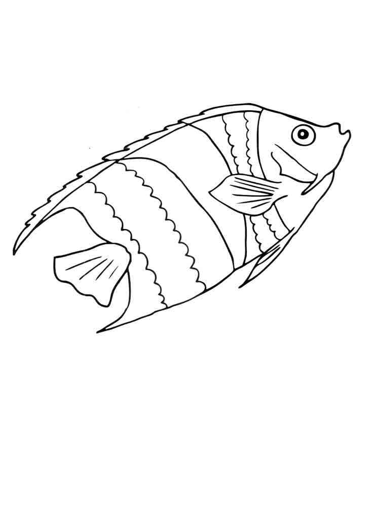 90 Printable Aquarium Visit Coloring Pages 23