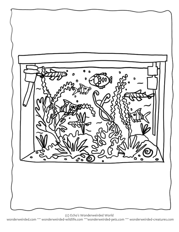 90 Printable Aquarium Visit Coloring Pages 3