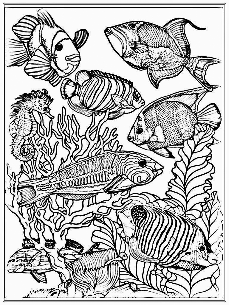 90 Printable Aquarium Visit Coloring Pages 35