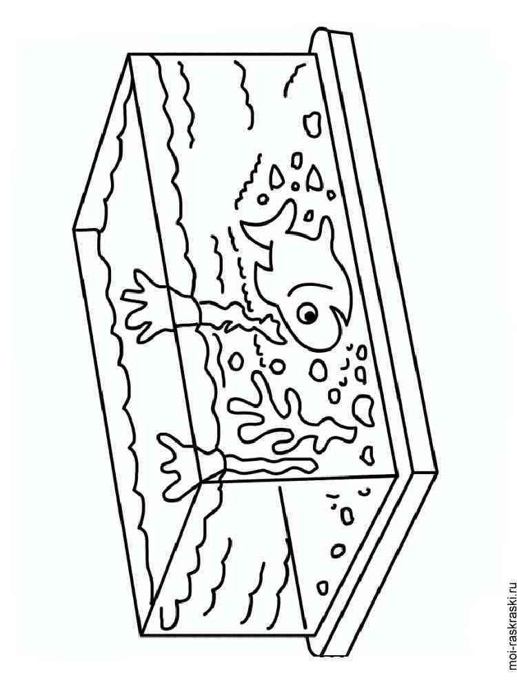 90 Printable Aquarium Visit Coloring Pages 36