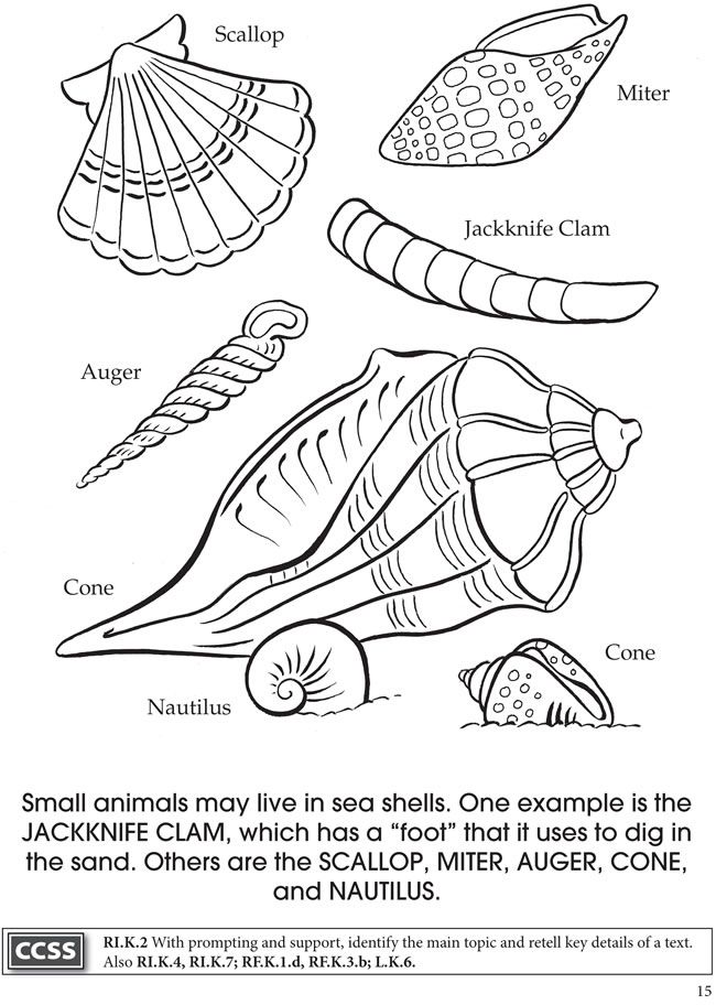 90 Printable Aquarium Visit Coloring Pages 41