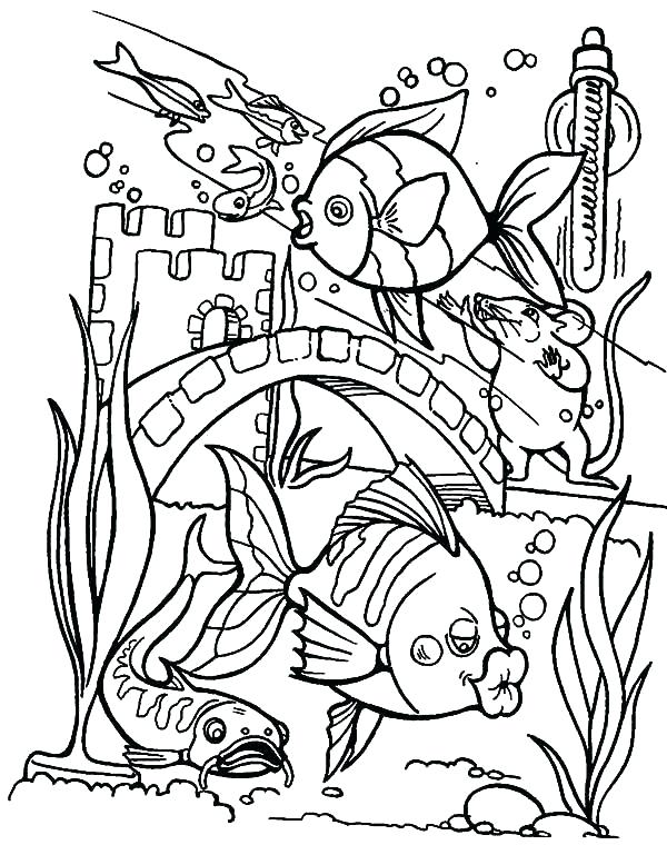 90 Printable Aquarium Visit Coloring Pages 46