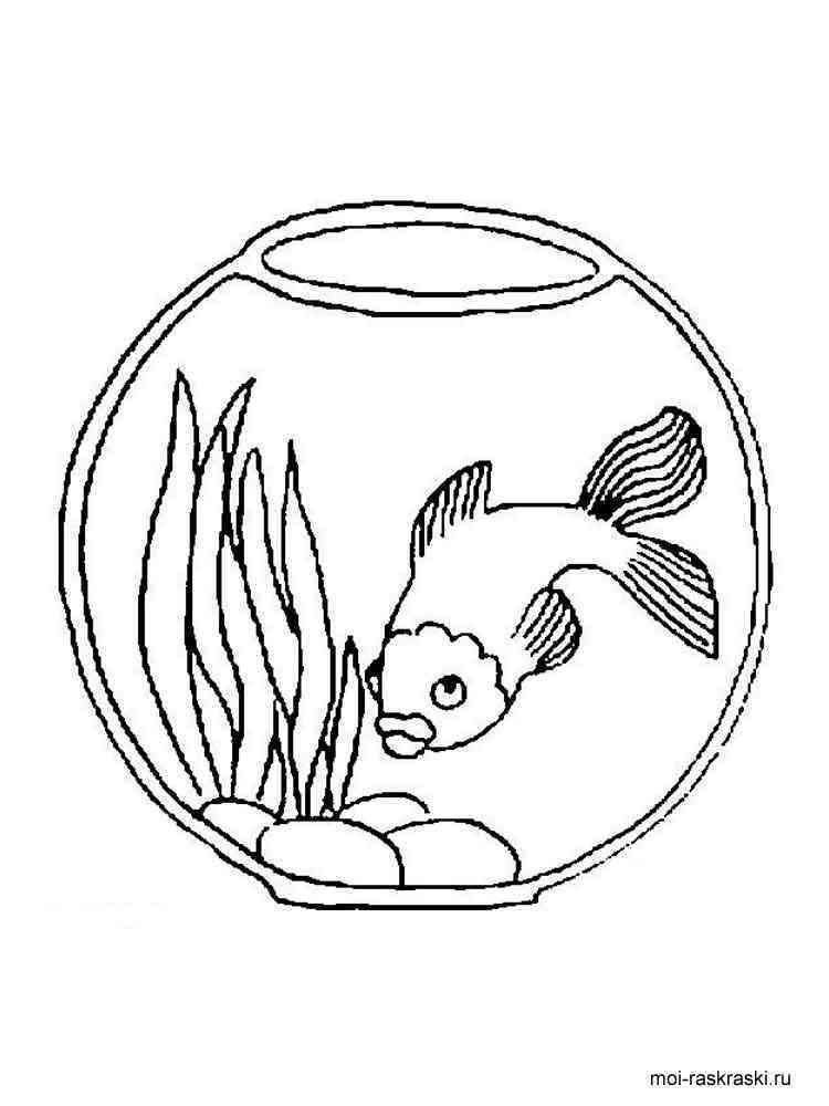 90 Printable Aquarium Visit Coloring Pages 50