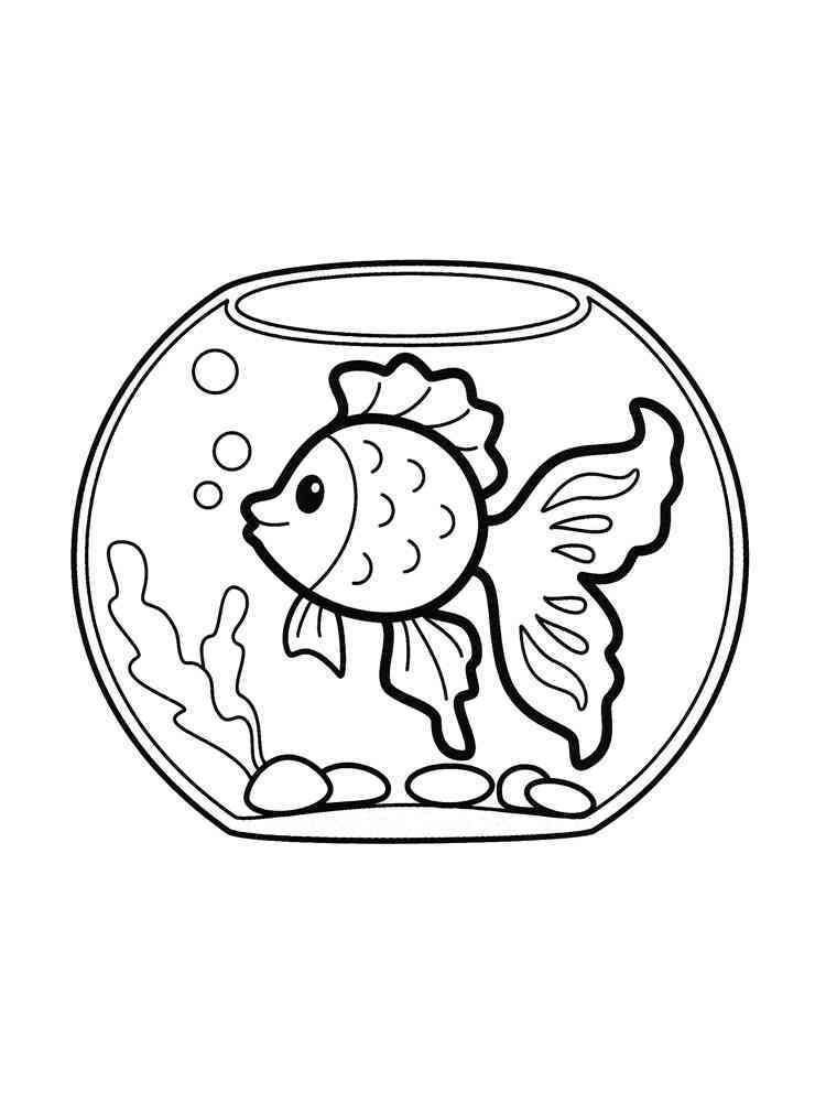 90 Printable Aquarium Visit Coloring Pages 61