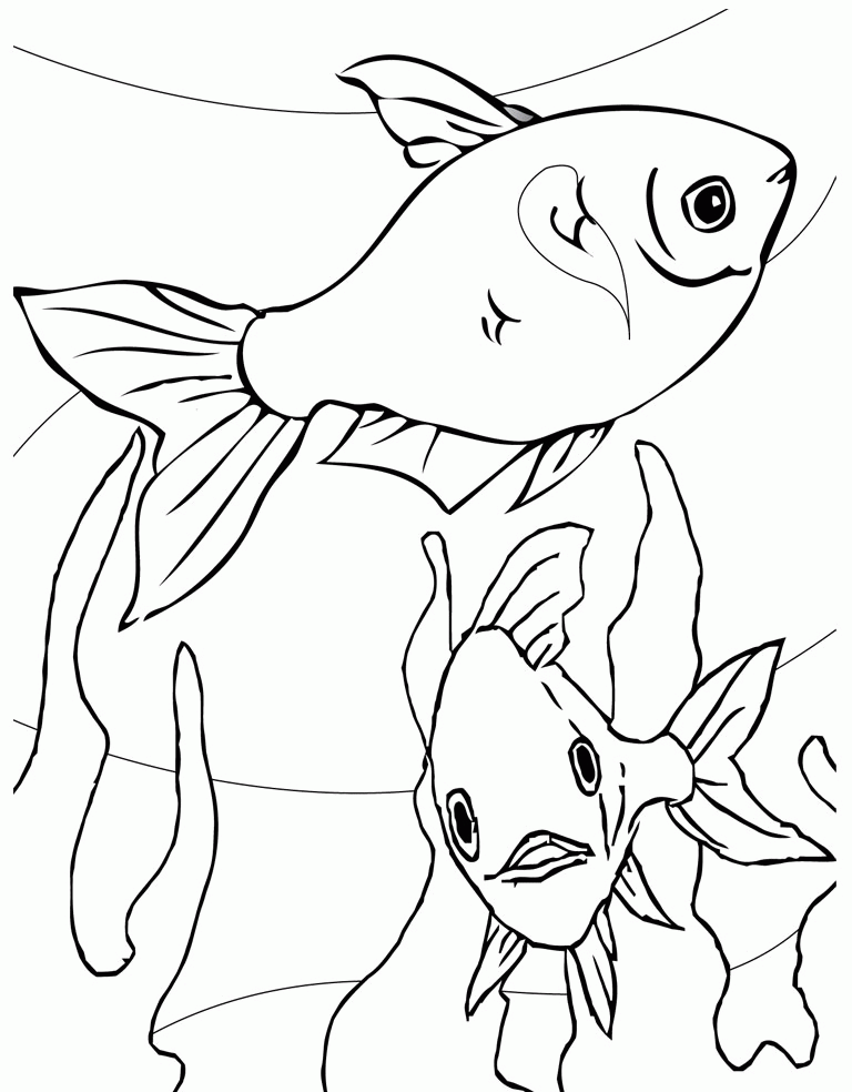 90 Printable Aquarium Visit Coloring Pages 62