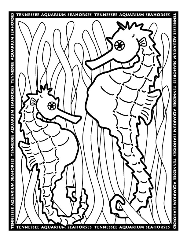 90 Printable Aquarium Visit Coloring Pages 63